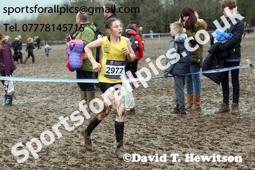 Girls under-13s 2018 British Inter Counties Cross Country Champs., Prestwold Hall, Loughborough. Photo: David T. Hewitson/Sports for All Pics